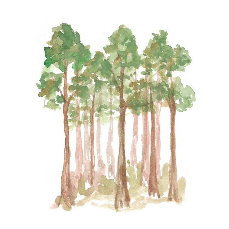 trees