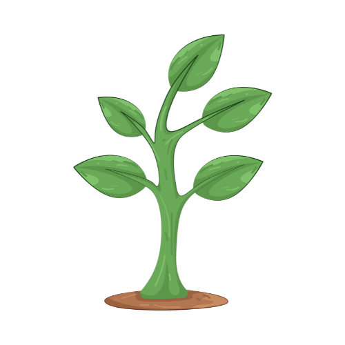 sapling