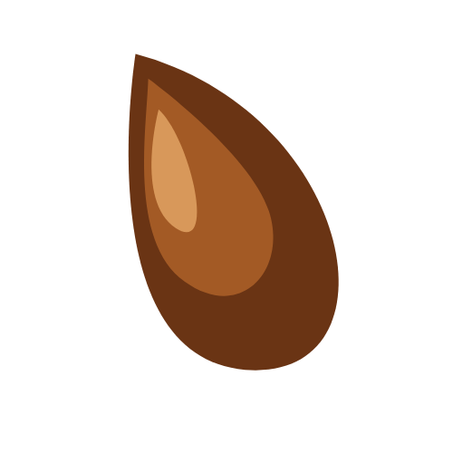 seed