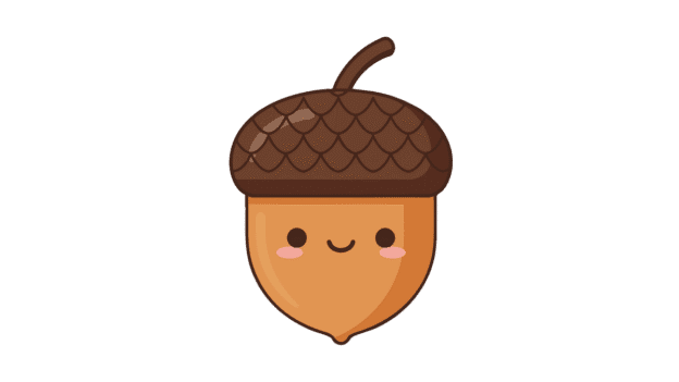 acorn buddy