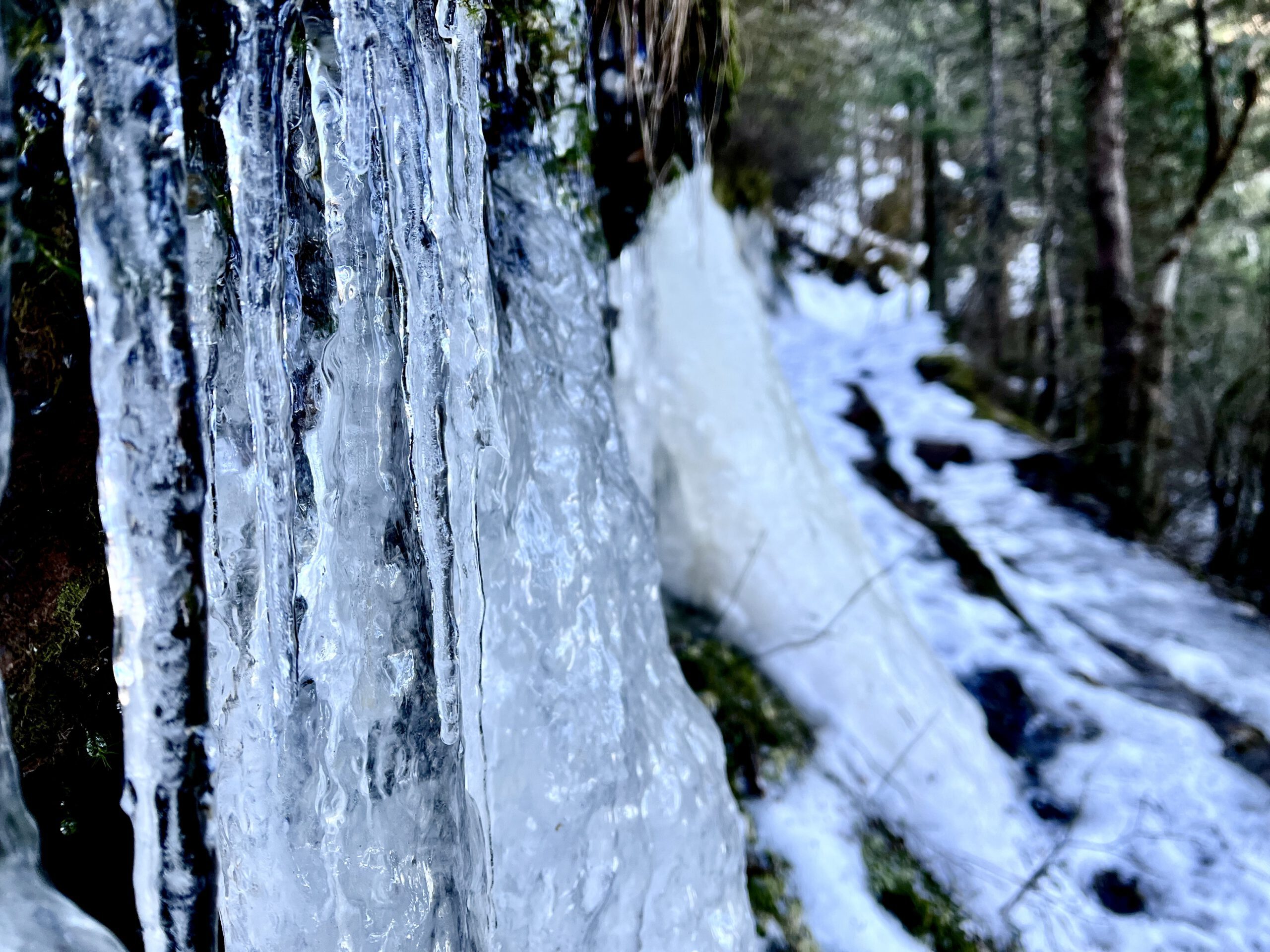icicles