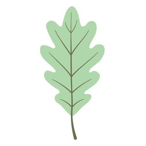 oak leaf