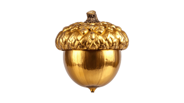 golden acorn