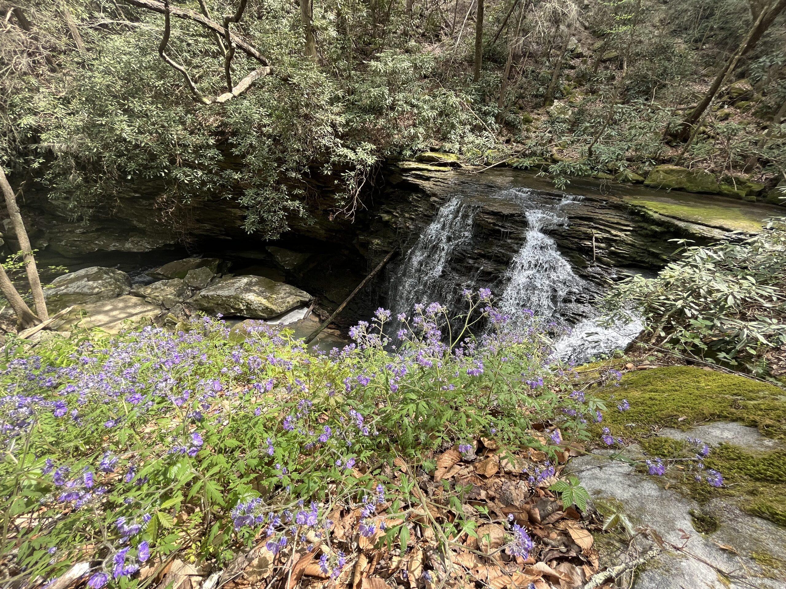spring waterfall