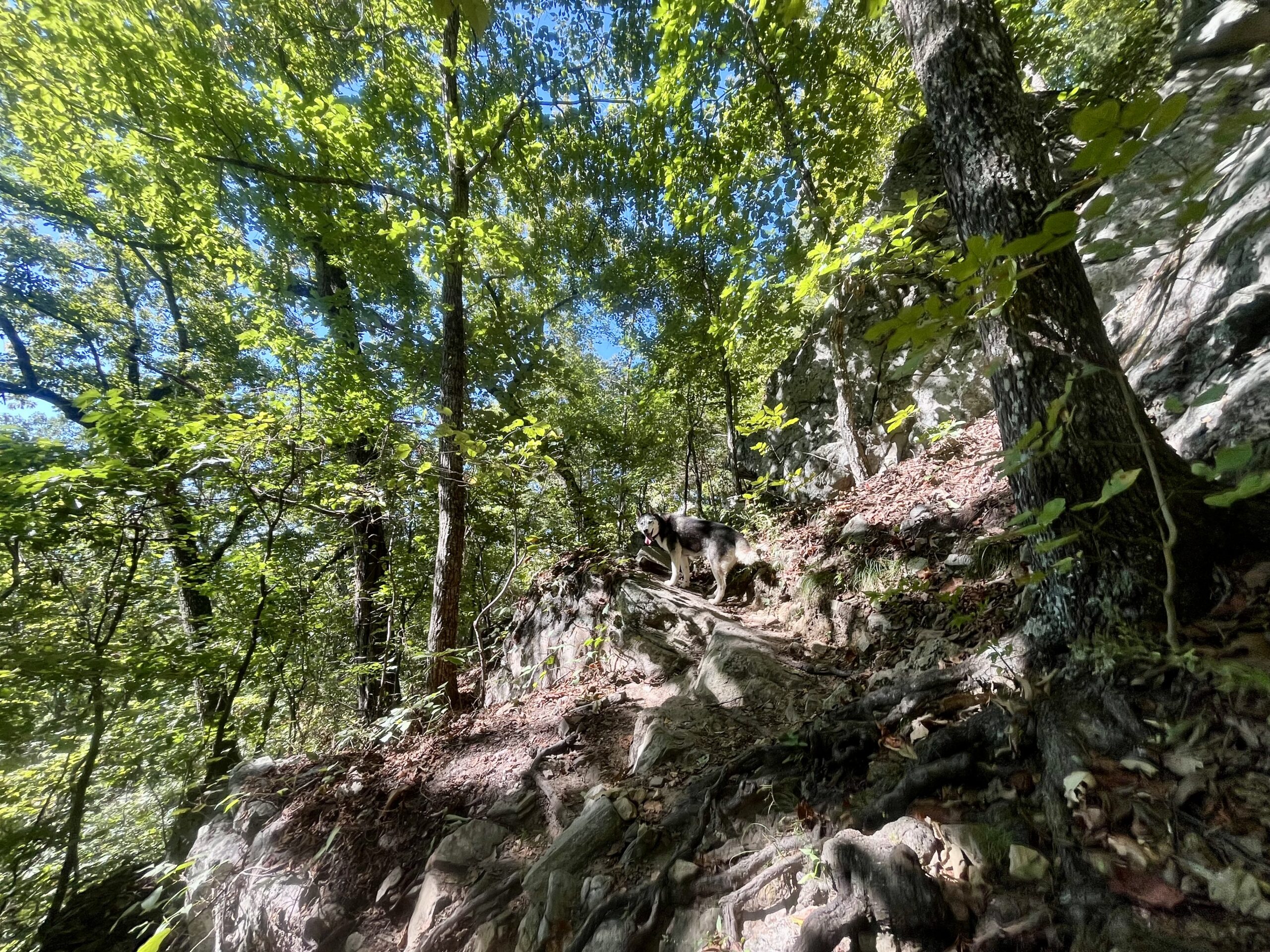 rocky trail