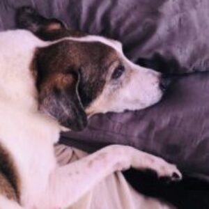 Profile photo of Mariana